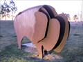 Image for Anthem Bison, East Installation - Broomfield, CO