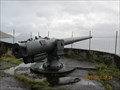 Image for Kanonen i Nes, Faroe Islands