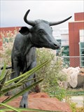 Image for Mesa State College Maverick - Grand Junction, CO