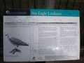 Image for Sea Eagle Lookout vista - Valentine, NSW, Australia