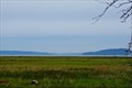 Image for Nisqually Delta Overlook - Nisqually National Wildlife Refuge