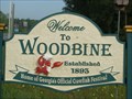 Image for Woodbine - Georgia Welcome Sign