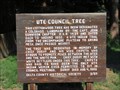 Image for Ute Council Tree - Delta, CO