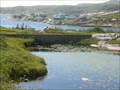 Image for Old Dam - Rose Blanche, Newfoundland