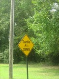 Image for Turtle Crossing - Fort A.P. Hill, Virginia