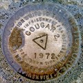 Image for Cougar 2 Triangulation Mark - Sandpoint, ID