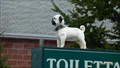 Image for The dog of Toilettage Boule de Poil, Qc