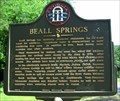 Image for Beall Springs-GHM-149-5-Warren Co
