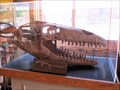 Image for Mosasaur skull (cast) - Cedaredge, CO