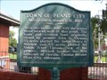 Image for Town Of Plant City 1885