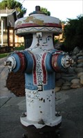 Image for Head Turner in a Blue Coat, Belmont, CA