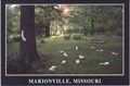 Image for Home of the White Squirrel - Marionville,Missouri