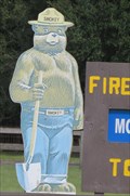 Image for Smokey Bear - Eva Forestry Site. Groveland, Florida, USA.