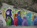 Image for Colorful Birds - Austin, TX
