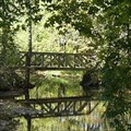 Image for Point Basse Historical Site Nature Trail Bridge - Nekoosa, WI