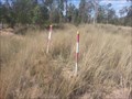 Image for 84636 - 100km Mark - N of Injune, QLD