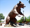 Image for Adams State College Grizzly, Alamosa, CO