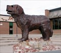 Image for Sabin Bulldog, Colorado Springs