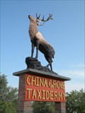 Image for China Grove Taxidermy ELK - Castroville, Texas