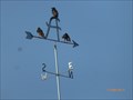 Image for The bakery weathervane-Mt Holly-NJ-Usa