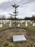 Image for Beirut Barracks Memorial Tree - Arlington National Cemetery