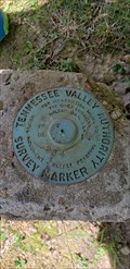 Image for TVA MLB234 Survey Marker - Fall Creek Falls State Park, TN