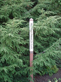 Image for Booth Tarkington Elementary School - Peace Pole