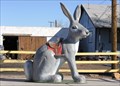 Image for The "Here It Is" Jackrabbit