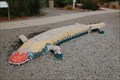 Image for The Moody Lizard--Yuma, AZ 