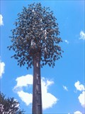 Image for Disguised cell phone tower, Eldoglen, Pretoria