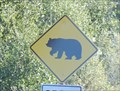 Image for Bear Crossing --  Chisos Mountain Lodge Road, Big Bend NP TX