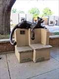 Image for Cougar Bench - Loveland, CO