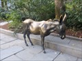 Image for The Democratic Donkey - Boston, Massachussetts