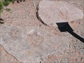 Image for Dinosaur Footprints - Navajo National Monument - Shonto AZ