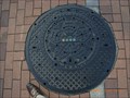 Image for Double Decker Manhole near Ueno - Tokyo, JAPAN