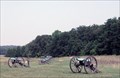 Image for Manassas National Battlefield Park - Manassas, VA