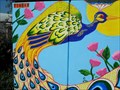 Image for Peacock - San Diego, CA