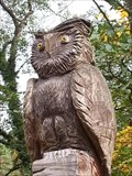 Image for A owl - 07338 Leutenberg/ Thüringen/ Deutschland