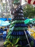 Image for Bottled covered up tree, Boca Chica, Dominican Republic