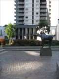 Image for Horse - San Francisco, CA