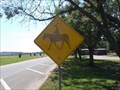 Image for Cowboy Crossing - Connor's State College - Warner, OK
