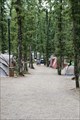 Image for Camping Orlando In Chianti, Cavriglia, Italy