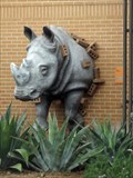 Image for Rhino - San Antonio, TX