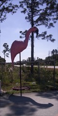 Image for Florida Flamingo