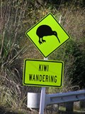 Image for Kiwi Crossing. Ohope Hill. Bay of Plenty. New Zealand.