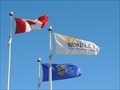 Image for Municipal Flag of Wembley - Alberta