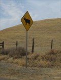 Image for Bull Crossing - Patterson, CA