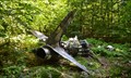 Image for Van Wyck Mountain T-33 Crash Site