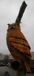 Image for "OWL"  Orangeville Ontario,  CANADA  