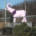 Image for Pink Elephant - Owego, New York